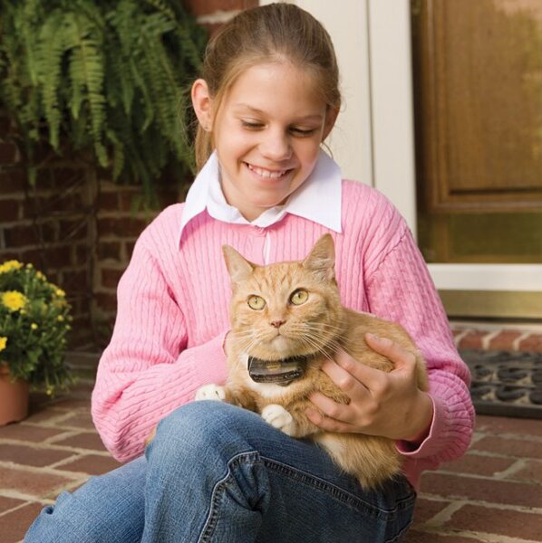 Girl with a cat over his legs